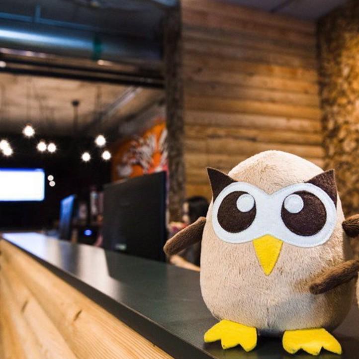 hootsuite owl mascot